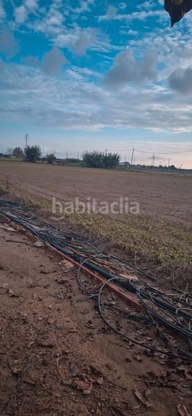 Foto 35ac551c-5ae8-4592-821f-bf446bdea82e. Finca rústica a Vilamarina Viladecans