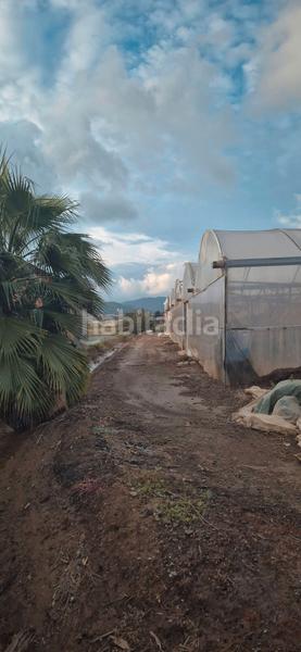 Foto fa1f3bec-73eb-4204-87e1-bb5a01d9720f. Finca rústica a Vilamarina Viladecans