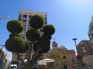 Business premise in granada 7