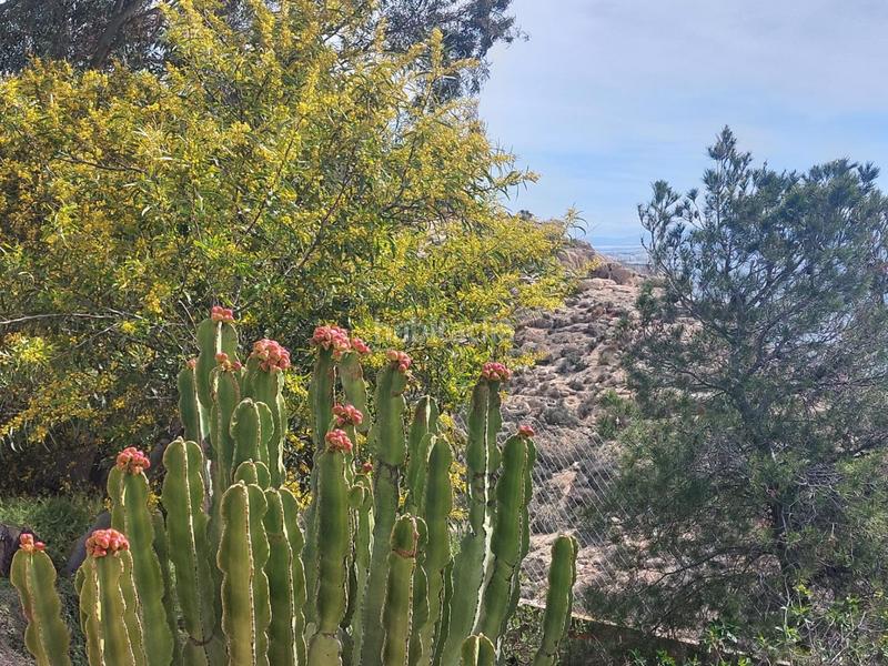 Foto ae89ea3b-9383-4364-9d68-331adf99610a. Chalet in urbanizacion urb.la parra 730 in Enix