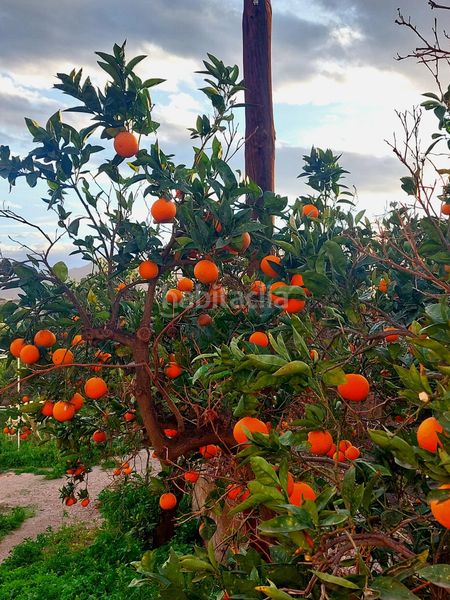 Foto 72d7aa5e-1e7c-4ee7-b26c-4a383cf06218. Casa a Rioja