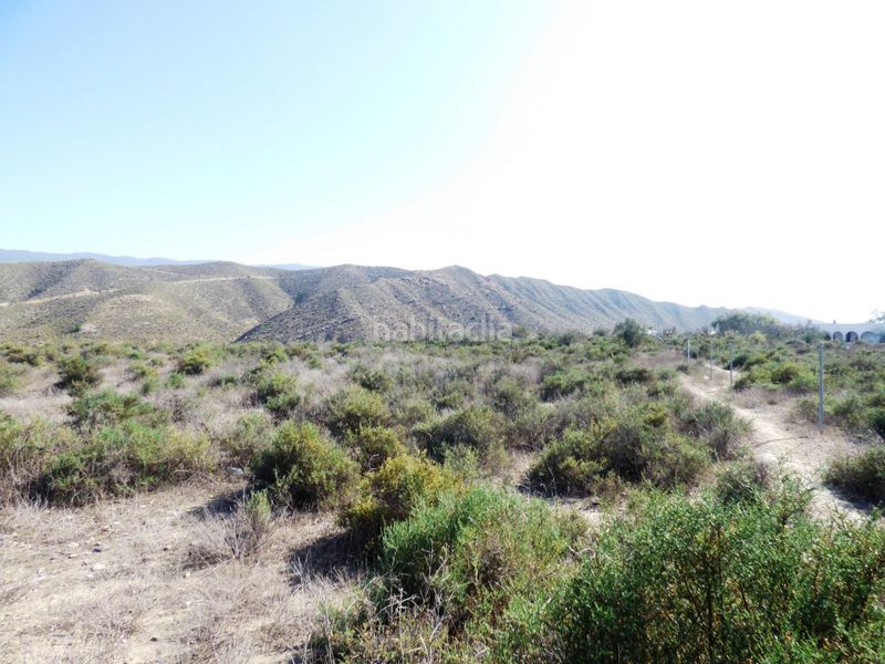 Foto b6033b8d-2967-4587-bd3d-251ff732a7d3. Masia amb aparcament a Tabernas