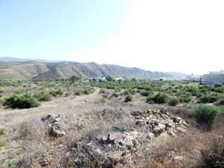 Masia  Calle torreta. Cortijo amplio  33000 m2 de terreno rústico en el centro del pue