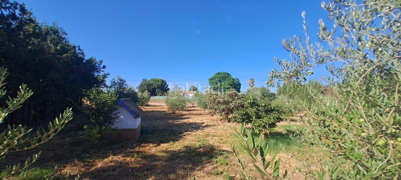 Foto 21083860-a2ae-4876-a4a0-c348aa10c250. Masía en exclusiva con remax finanbank presentamos esta finca rústica de 1.700 m de parcela y 138 m construidos, ubicada en una excelent en Pilas