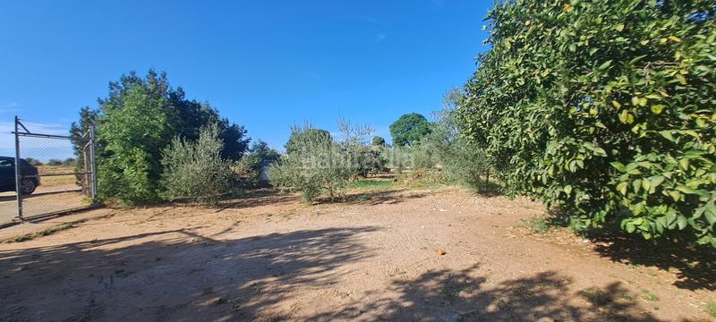 Foto 3f7cb6b2-b826-42e8-bb91-ebe92e304037. Masía en exclusiva con remax finanbank presentamos esta finca rústica de 1.700 m de parcela y 138 m construidos, ubicada en una excelent en Pilas