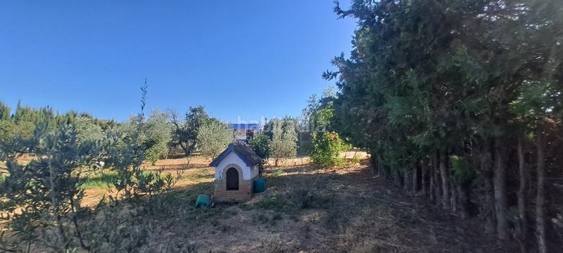 Foto 50fdeb0b-976f-4e62-93c6-4541807897a6. Masía en exclusiva con remax finanbank presentamos esta finca rústica de 1.700 m de parcela y 138 m construidos, ubicada en una excelent en Pilas