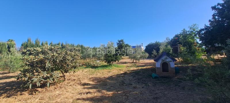 Foto c2cf858d-2bbc-4311-a7e7-55eada529f08. Masía en exclusiva con remax finanbank presentamos esta finca rústica de 1.700 m de parcela y 138 m construidos, ubicada en una excelent en Pilas