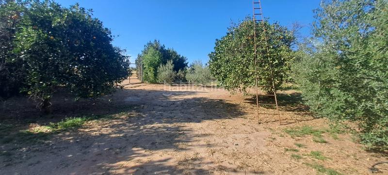 Foto ca37fee5-715c-4c99-aceb-f25f1b0a6979. Masía en exclusiva con remax finanbank presentamos esta finca rústica de 1.700 m de parcela y 138 m construidos, ubicada en una excelent en Pilas
