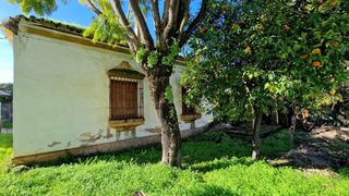 Masia  Avenida andalucia 32. Casa con terreno en avenida andalucia 32 valencina de la concepc