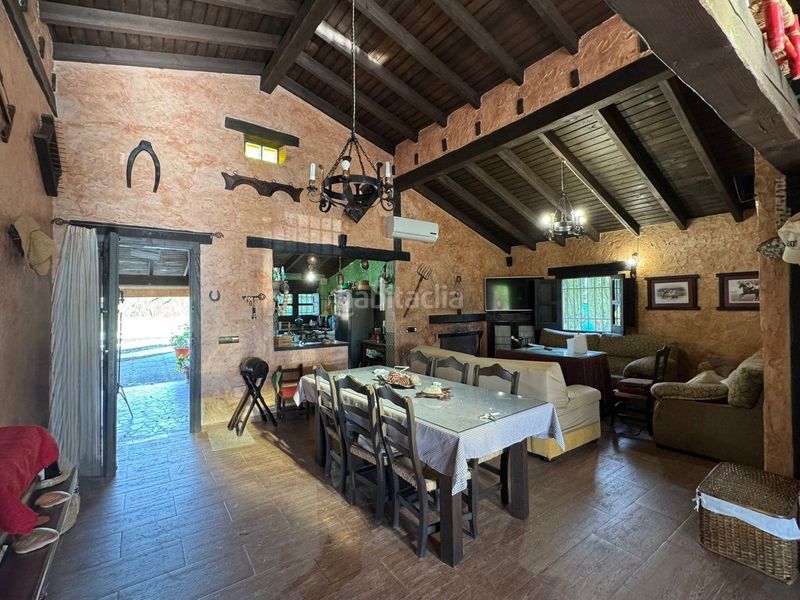 Foto 4cbcf2f5-7bd2-4585-a9d0-f72ff3596e17. Casa amb piscina a Pilas