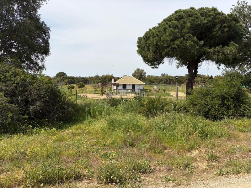 Foto 17f94d8d-8596-4919-87fc-dbc3ff5f0b25. Casa amb aparcament a Hinojos