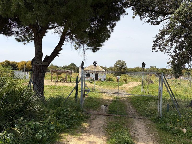 Foto 4e528e95-efe6-4d8a-9bd2-adaf496b1a69. Casa amb aparcament a Hinojos