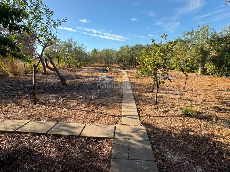 Foto b1b88384-3661-42b8-abaf-49b35694f85f. Casa amb aparcament piscina a Pilas
