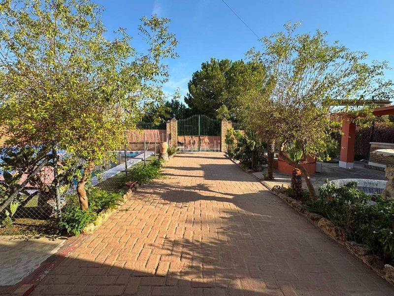 Foto c25a5936-9b55-4957-b78b-423be97cc84c. Casa amb aparcament piscina a Pilas