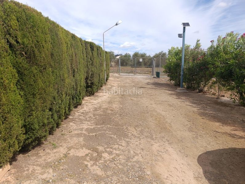 Foto d74543a7-fad4-45d8-aae5-ed0d540e8df2. Casa amb aparcament a Espartinas pueblo Espartinas