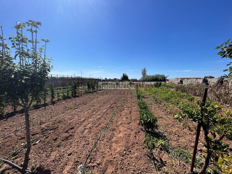 Foto d84f6050-b99e-4d15-a1db-8fc39b4d33e5. Masia a Norte - Blanca Paloma Rota