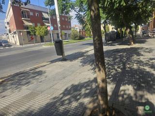 Pis  Federico molina. En huelva