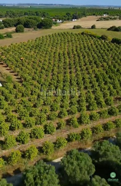 Foto a1096400-19e5-45e2-bc4b-30130f14c3f5. Finca rústica a Núcleo Urbano Aljaraque