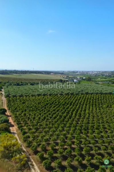 Foto da4c11c3-f8ad-46d1-8787-4a3e7d9261c4. Finca rústica a Núcleo Urbano Aljaraque