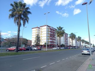 Affitto Appartamento  Tallista miguel hierro. Piso de dos habitaciones para estudiantes