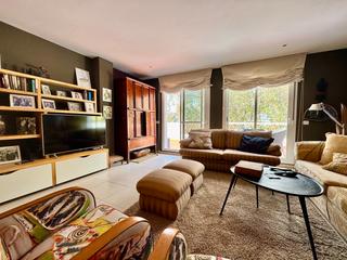 Penthouse in Calle Poseidon 8