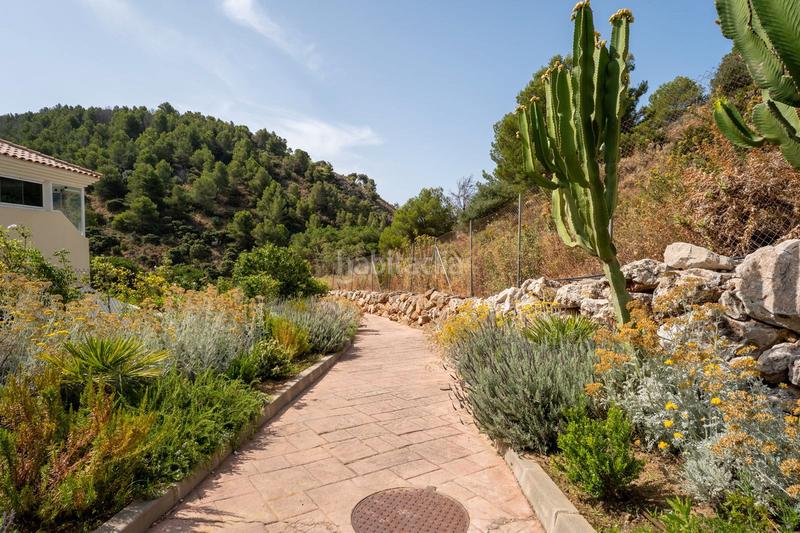Foto 44673618-ee5f-440e-8641-cd919701f09c. Appartement dans calle de la encina 16b dans Mijas pueblo Mijas