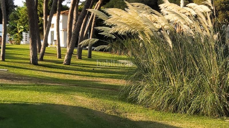 Foto 395955d3-4be2-4511-bf9f-b94ece8b95c4. Appartement dans urbanización algaida 3 dans Calahonda Mijas