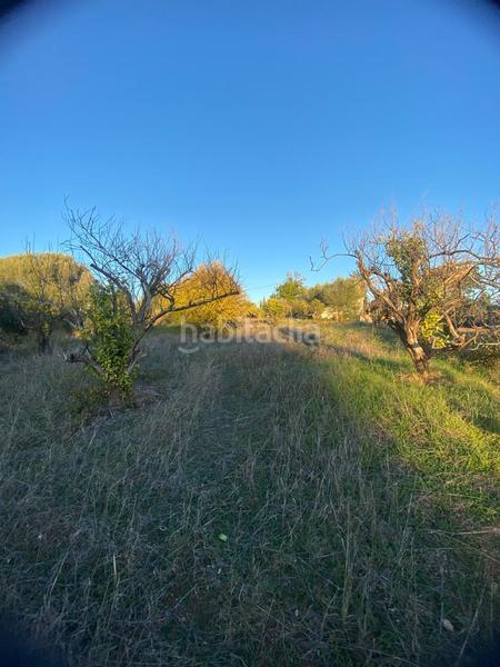 Foto c9ed9bf7-0726-4a41-9fb4-e7e38fac0925. Fondo rustico in Los Llanos Estepona