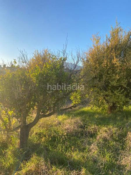 Foto bfd61498-3da7-4bcb-874e-f95b88ca0a6d. Finca rústica en Los Llanos Estepona
