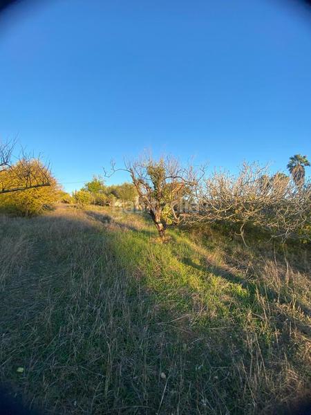 Foto d95ba7e8-e904-4b7b-99d2-0cd53da83b02. Finca rústica en Los Llanos Estepona