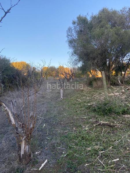 Foto e92e3eaa-9168-4d99-8a33-e2b5c20cc029. Finca rústica en Los Llanos Estepona