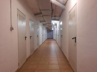 Geschäftsraum in San Pedro de Alcántara Pueblo