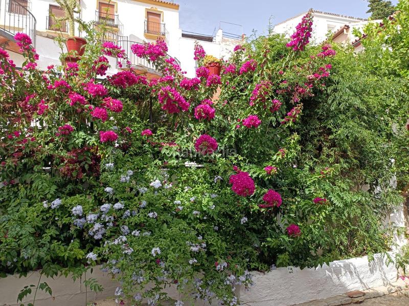 Foto 7315be28-f0bd-48c8-9255-76ef2de633b1. Casa adossada a Casco Histórico Ronda