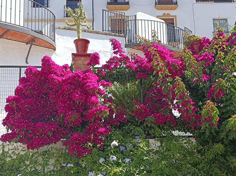 Foto f69aca06-72e0-4de2-9dcb-69ac58073320. Maison jumelée dans Casco Histórico Ronda