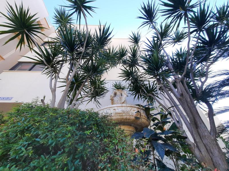 Foto 03fdc53c-ae02-465e-b856-3da8fd1b6df9. Appartement mit heizung parking pool in Seghers Estepona