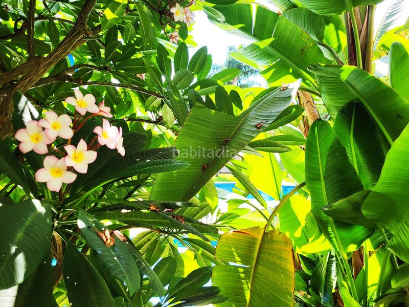 Foto 47fba612-8c86-4da4-9cc1-459e63c0a88f. Àtic amb calefacció aparcament piscina a Nueva Alcántara Marbella