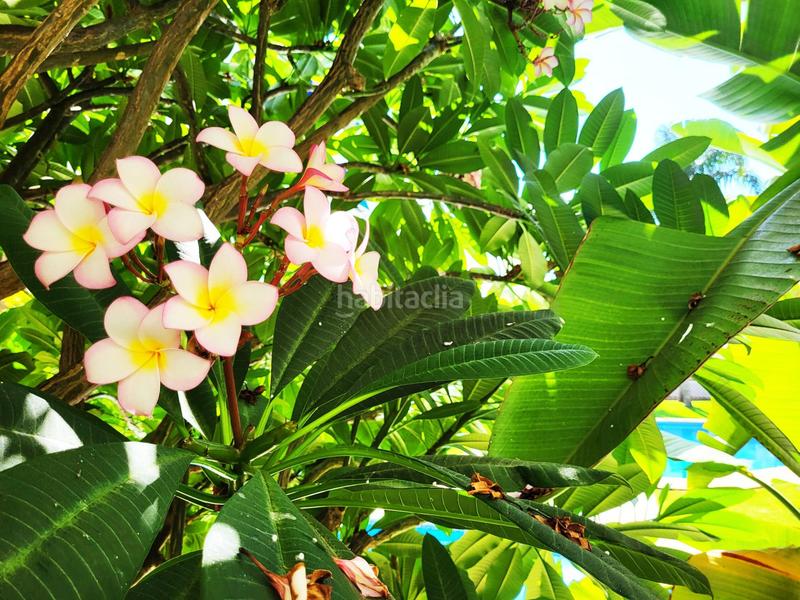 Foto 769aaa00-d5f4-4bfe-93ba-c537479a078c. Attico con riscaldamento parcheggio piscina in Nueva Alcántara Marbella