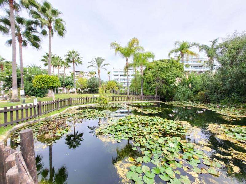 Foto 448d32c7-fb2c-48e8-8fef-148b0cdd18e8. Alquiler apartamento exclusivo apartamento reformado en sun beach, en Estepona