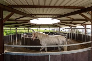 Country house in Villanueva De La Concepción. Finca ecuestre singular de 14 hectáreas en málaga