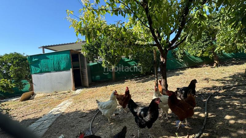 Foto 3096fe3a-95eb-4e28-8a22-1c413ad76b68. Landgut in El Romeral-Peñón de Zapata Alhaurín de la Torre