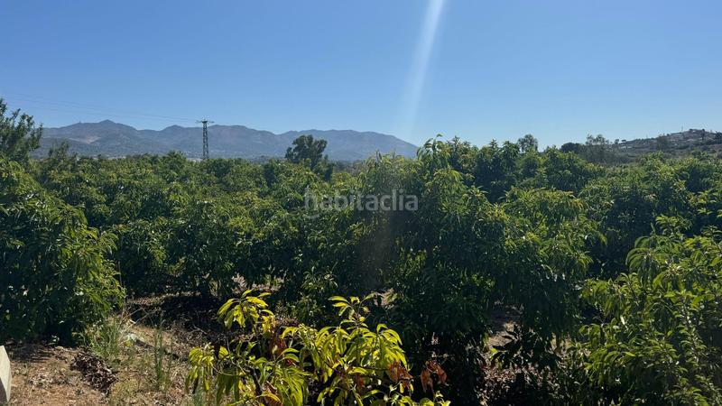 Foto 38ce3667-49ee-4b7c-b3c4-94a561f205be. Landgut in El Romeral-Peñón de Zapata Alhaurín de la Torre