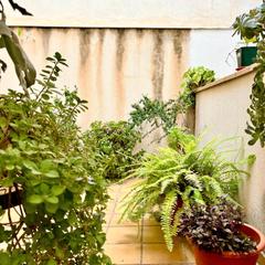 Planta baja en Cristo de la Epidemia. Magnífico piso en planta baja con ascensor, patio y garaje