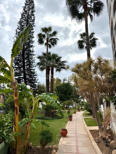 Foto 601c45fd-fa70-4e00-88c9-6e85c59004ea. Appartement avec piscine dans Torreblanca del Sol Fuengirola