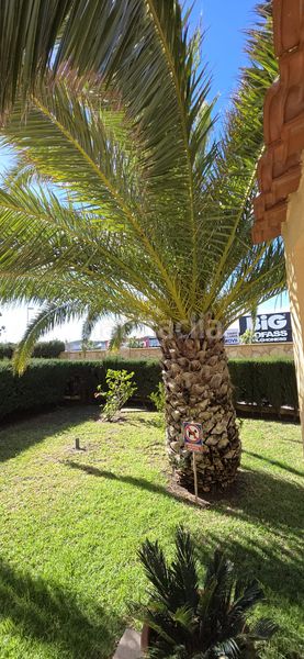 Foto b5a41e4d-4537-4ad2-81a7-a1a1df51eaa5. Planta baixa amb aparcament piscina a Centro Mijas