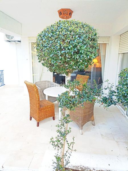 Foto 3d9dc2a6-177b-434c-8487-2e5ffecdb31b. Planta baixa amb aparcament piscina a Mijas golf Mijas