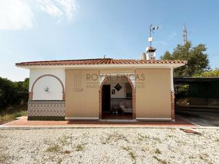 Masia  Diseminado poligono 29