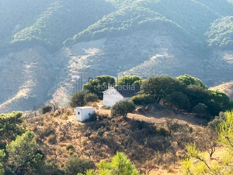 Foto 191a9db8-d8d5-46e4-a7cd-bb03a294670b. Bauernhof mit kamin in Carratraca