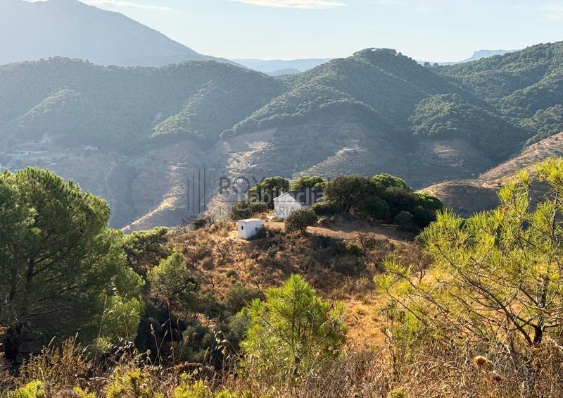 Foto 3057dc9f-212b-4643-b409-5b6ddf317bb5. Bauernhof mit kamin in Carratraca