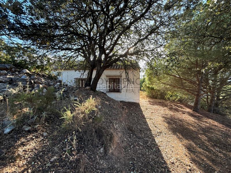 Foto 341fa9bf-f0e5-4eea-9e64-12b0c6a213ba. Bauernhof mit kamin in Carratraca