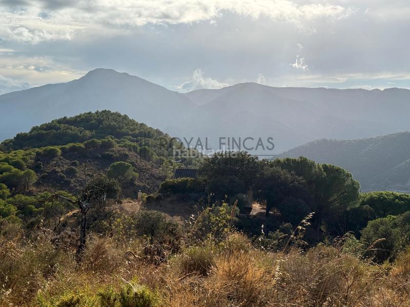 Foto 41f0a7ae-659c-428b-8ae8-7b815ddbb44c. Bauernhof mit kamin in Carratraca